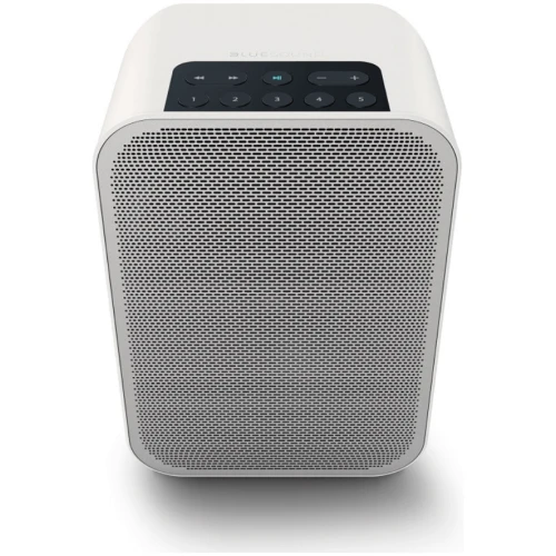 Bluesound Pulse Flex 2i | Wit