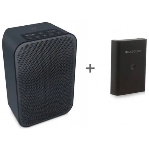 BlueSound Pulse Flex 2i