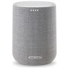 Harman Kardon Citation One MKIII | Grijs