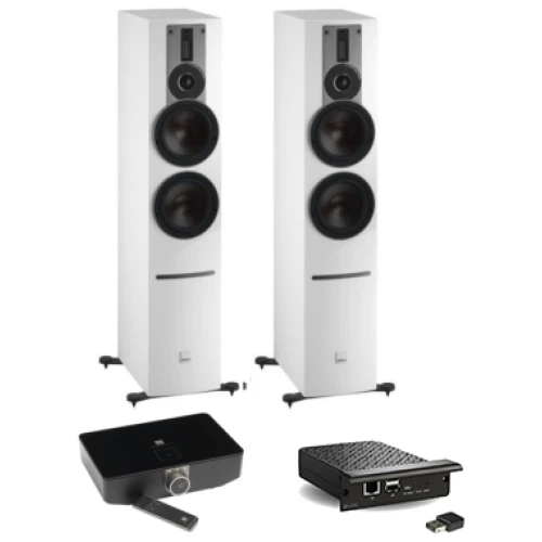 Dali Rubicon 6 C + Dali Sound Hub + BluOS NPM-2i | Wit