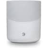 Bluesound Pulse M | Wit