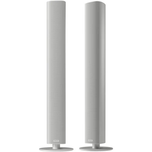 PIEGA Ace 50 Wireless RX | Zilver