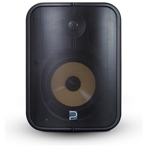 Bluesound Professional BSP1000 | Zwart