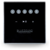 Bluesound Professional CP100