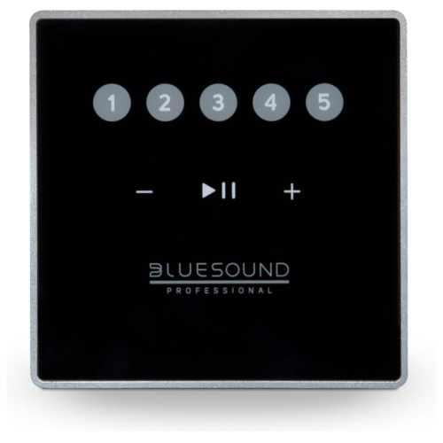 Bluesound Professional CP100