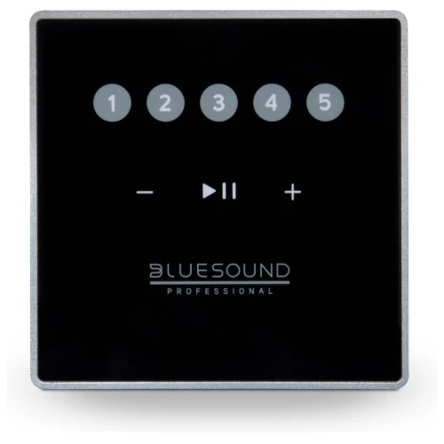 Bluesound Professional CP100