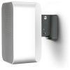 Bluesound Professional WM125 | Zwart