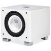 REL T/9x | Wit