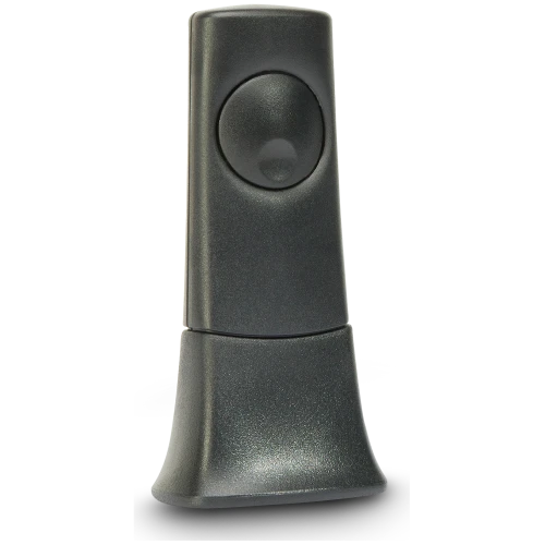 Cambridge Audio BT100
