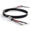 Audiovector Zero Arreté
