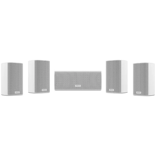 PIEGA Ace 30 Wireless 5.0 set | Wit